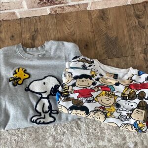 Peanuts Gray Sweatshirt with Snoopy Graphic